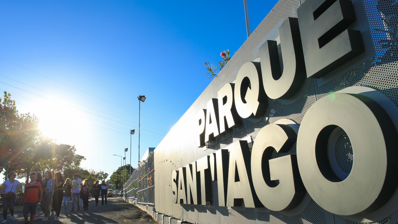 O amor é uma palavra de quatro patas