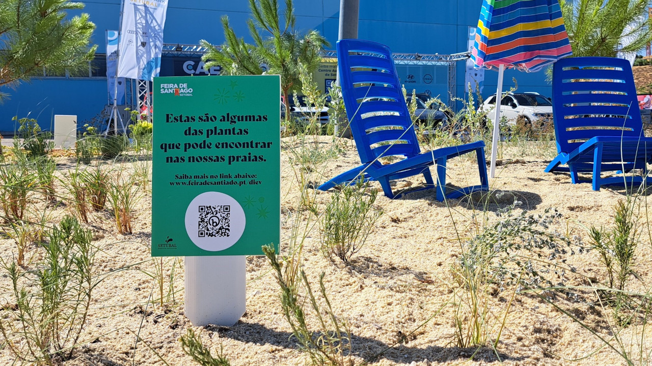 Já conhece as características da flora local?