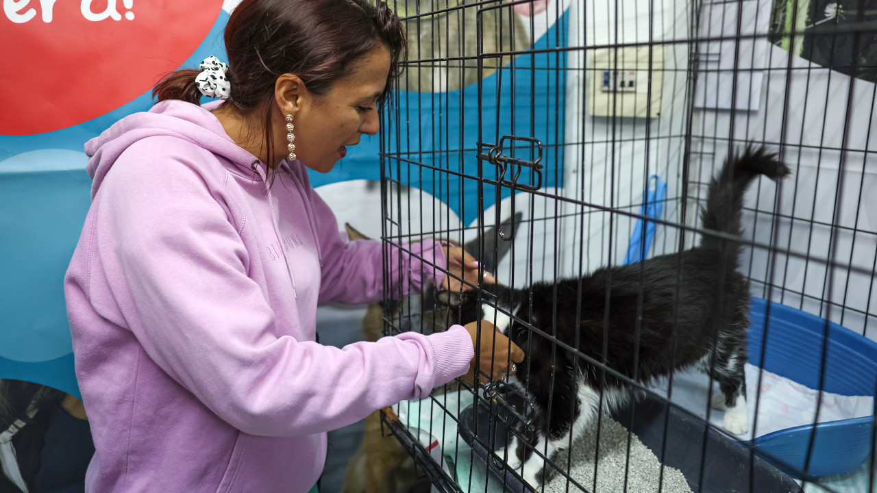 Animais de companhia e flora do Parque Sant’Iago