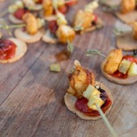 Apresentação da Feira de Sant'Iago