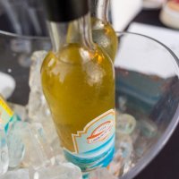 Noite dos Ciganos d'Ouro